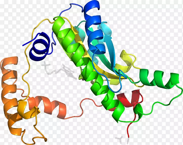 �ߵ������������-������