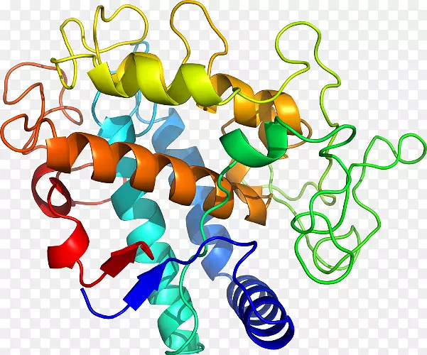 ���������л����߼�������-������