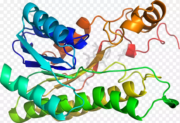 ���������л����߼�������-������