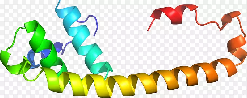 ʳ�������-������