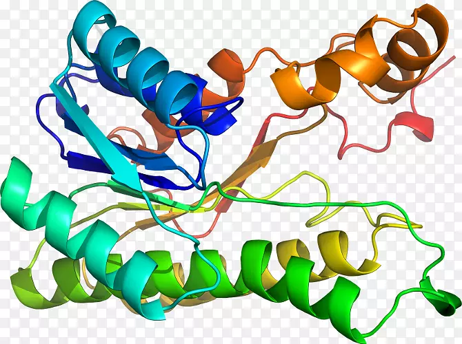 ���������л����߼�������-������