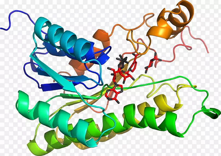 ���������л����߼�������-������