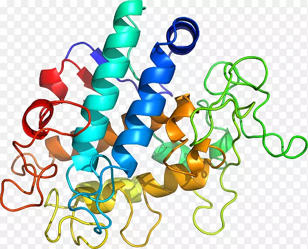 �����鱦���л����������-������