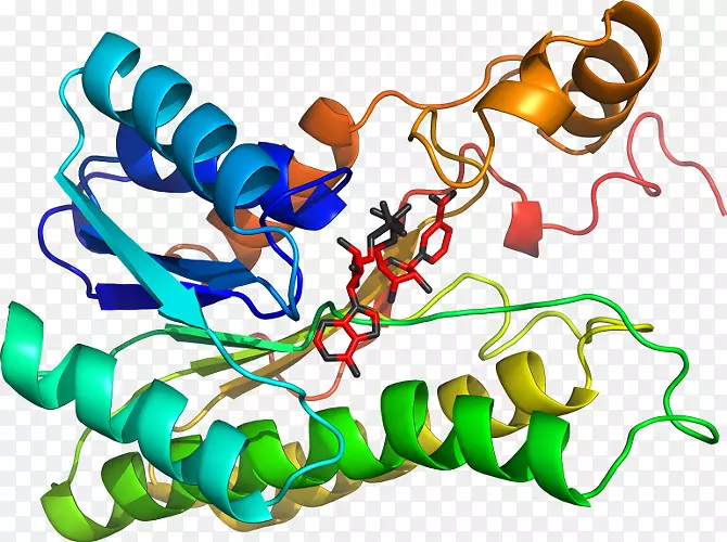 ���������л����߼�������-������