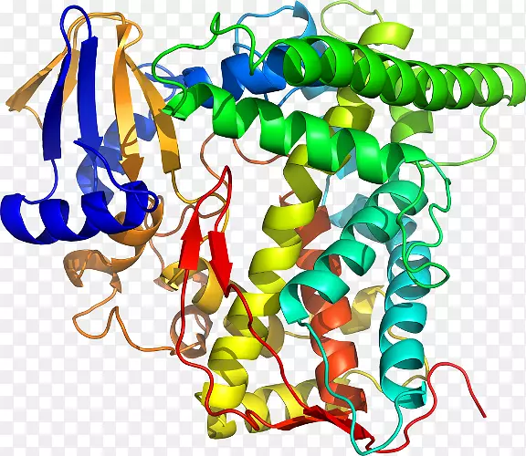 ʳƷ����ϵ�м�����ϵ��-������