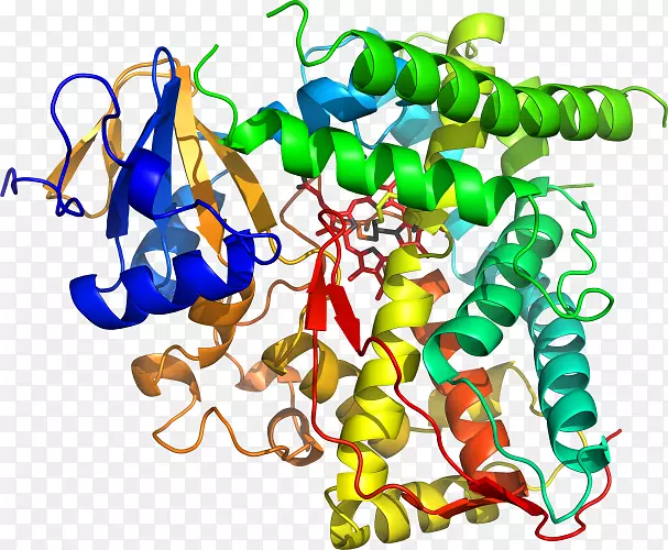 ���������л����߼�������-������