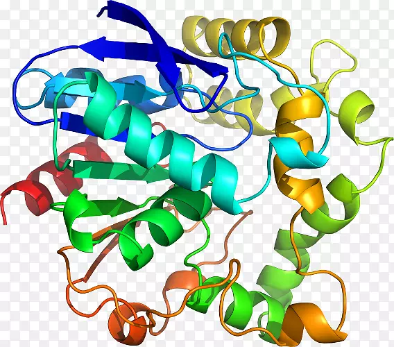 ���������л����߼�������-������