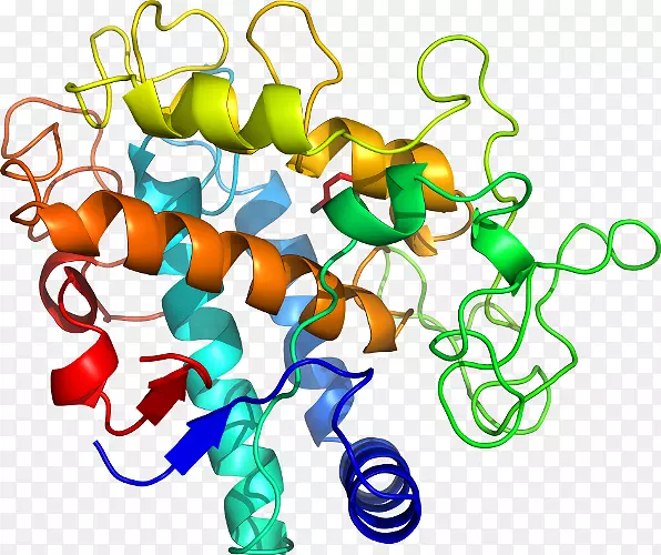 ���������л����߼�������-������