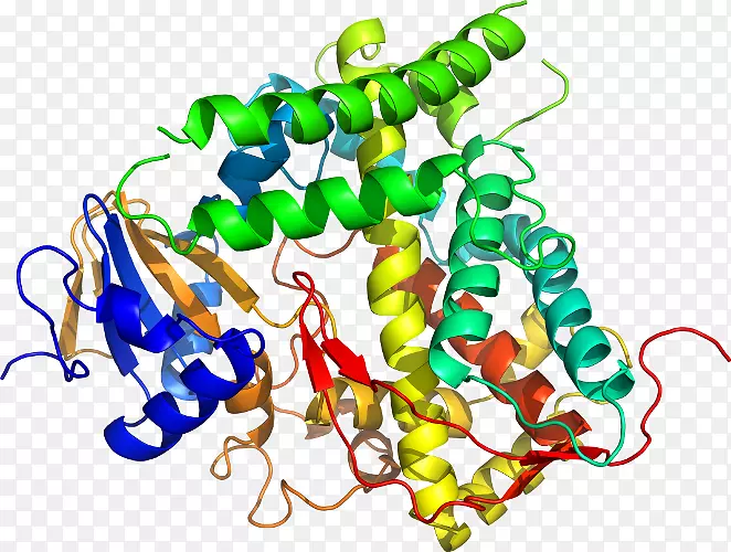 ���������л����߼�������-������