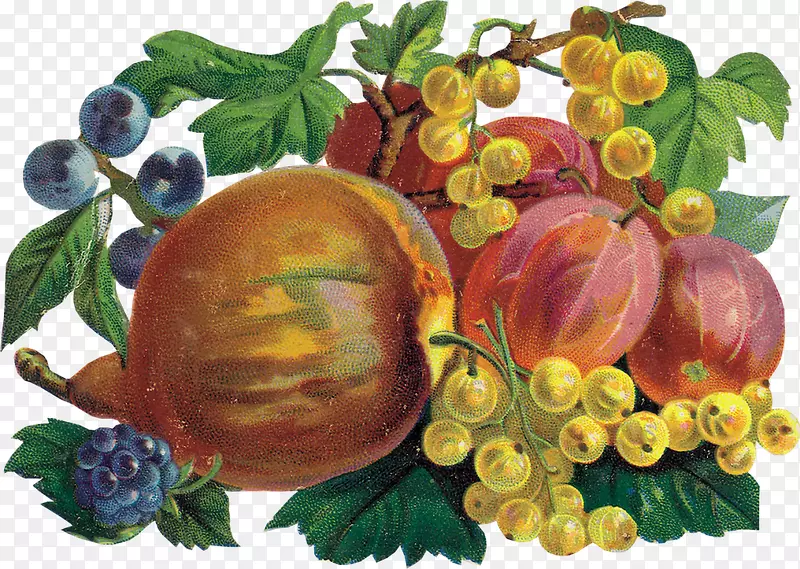 ���������ѻ����ź�ݮ-����-������