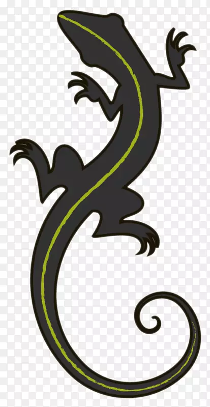 ����eidechse������˼����������-������