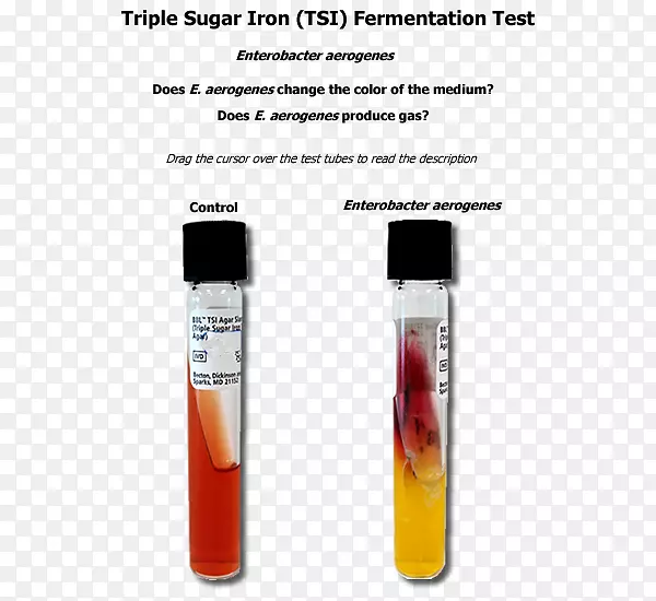 ����ƿҺ�岣��-������