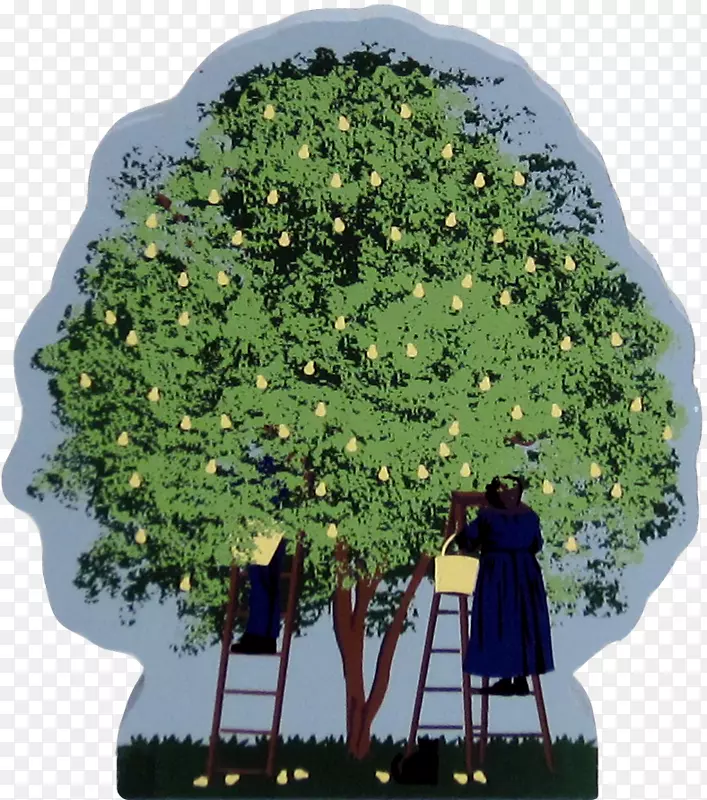 ��-��-������