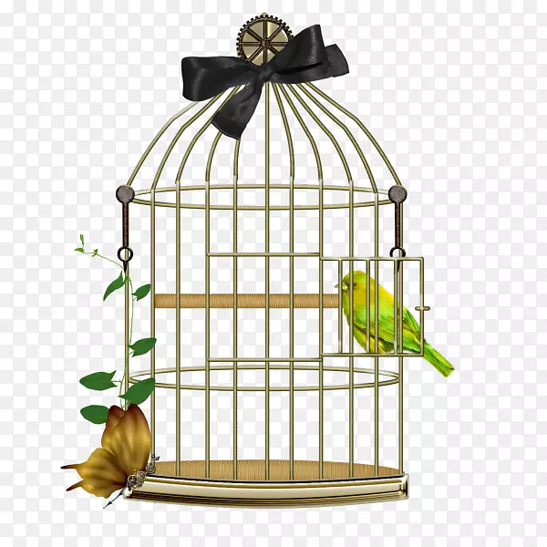 ����-������