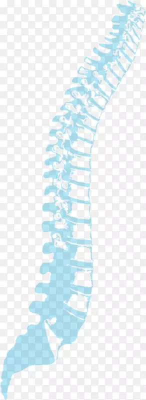 ֱ�߽Ǽ���������-������