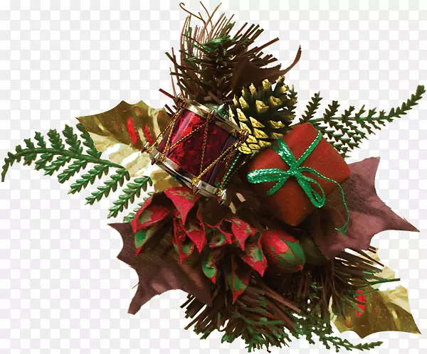 ʥ���ڵ�׺Ҷ����ֲ��-21Ұ��-������