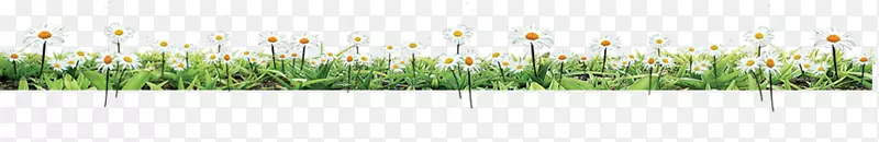 �̲�������-�ݻ�-������