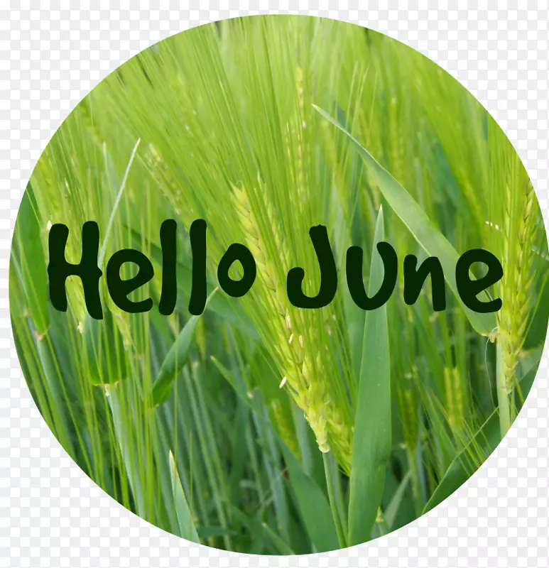 ���������Ӱ��Ϸ��Ʒ-�������-������