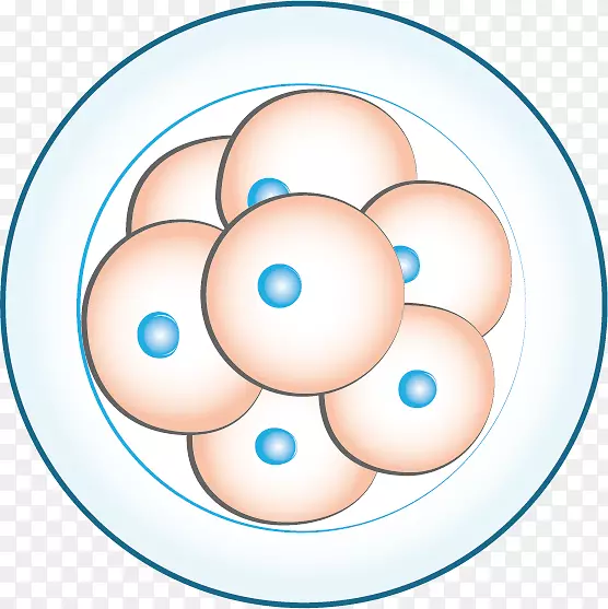 Բ���ۼ�����Ȧ-������