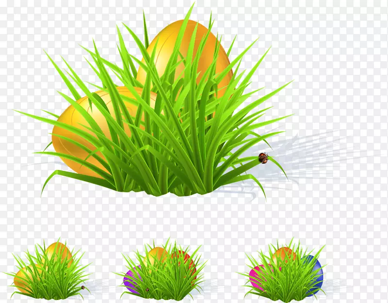 ����-ý����-������