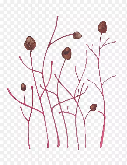 ˮ�ʻ�������ˮ�ʻ�������ͼ-��-������