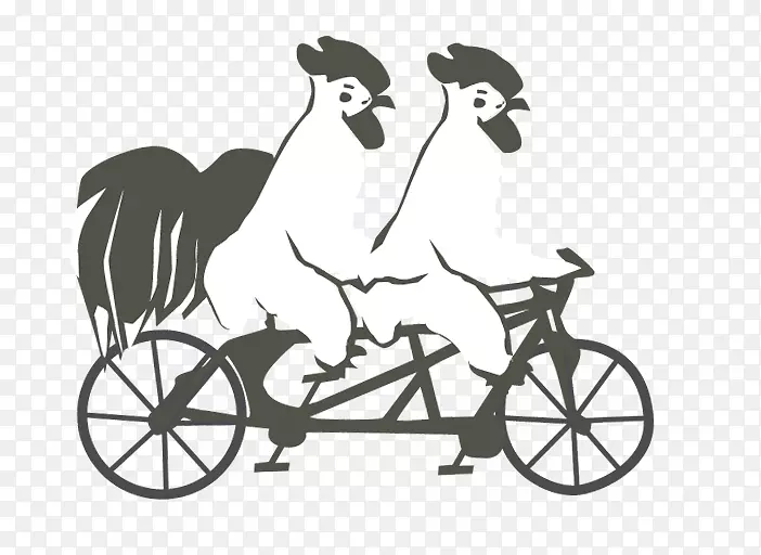 ���ܵ�ķ��԰-���ݺ�����-������