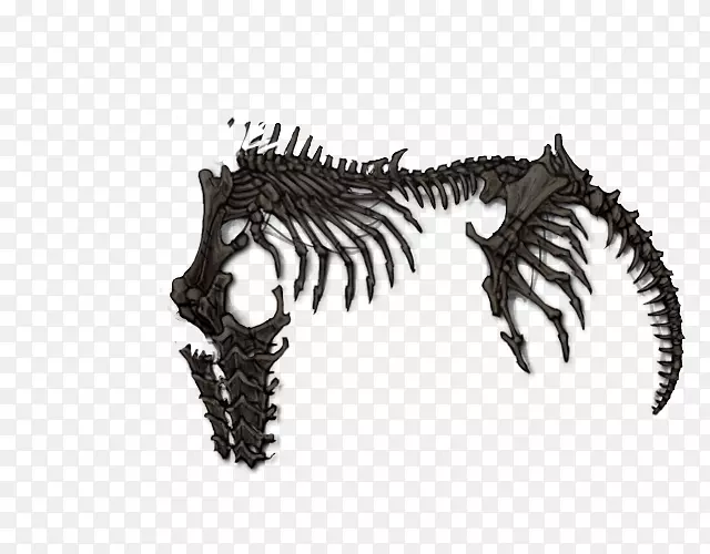 ����-��-������