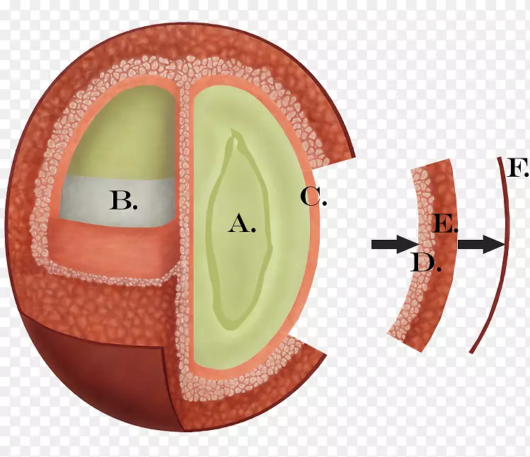 ��������-���ټӹ�-������