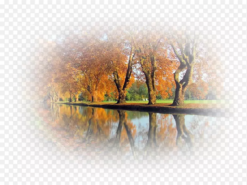 ˮ�ʻ������ֽ-������