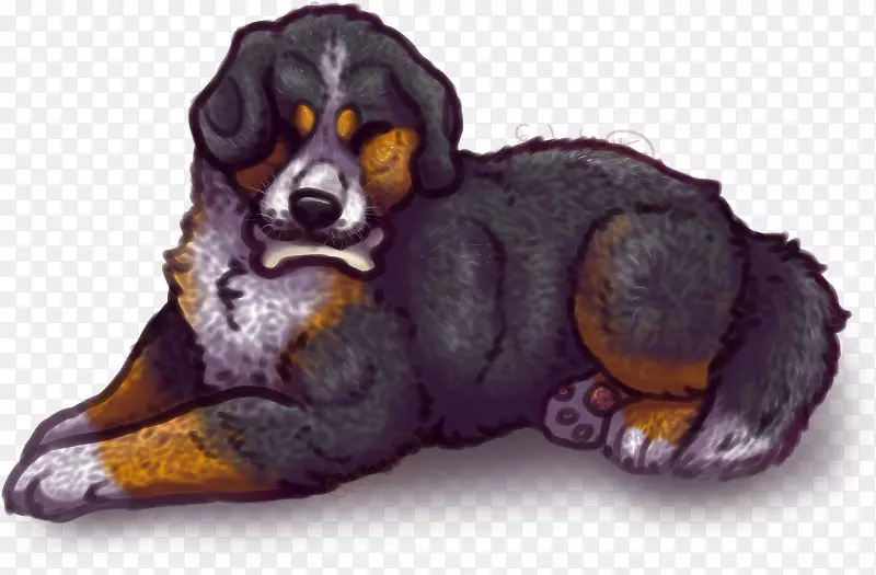 С����ֳ����צ��-������