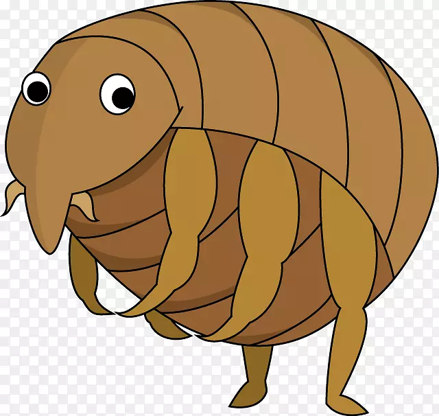 Ȯ��������-������