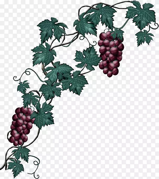 ���ѾƼ�����-����-������