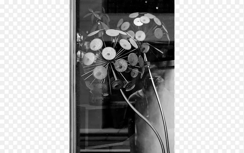 ��ɫ���-������