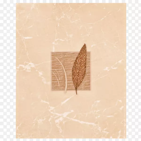 P?ytki�մɳ���ԡ���մ���-����-������