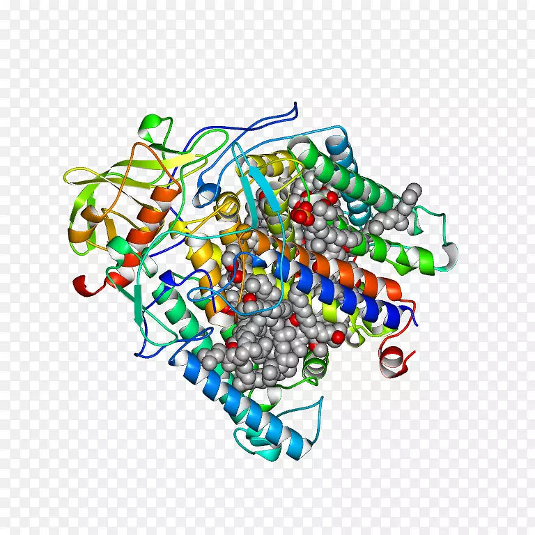 �ߵ������-��-������