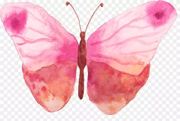 ����ˮ�ʻ�-������