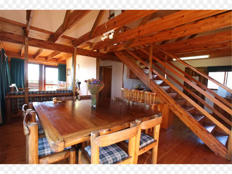 Сľ�ݵذ���Ӿ����ҵ-��Ӿ��-������