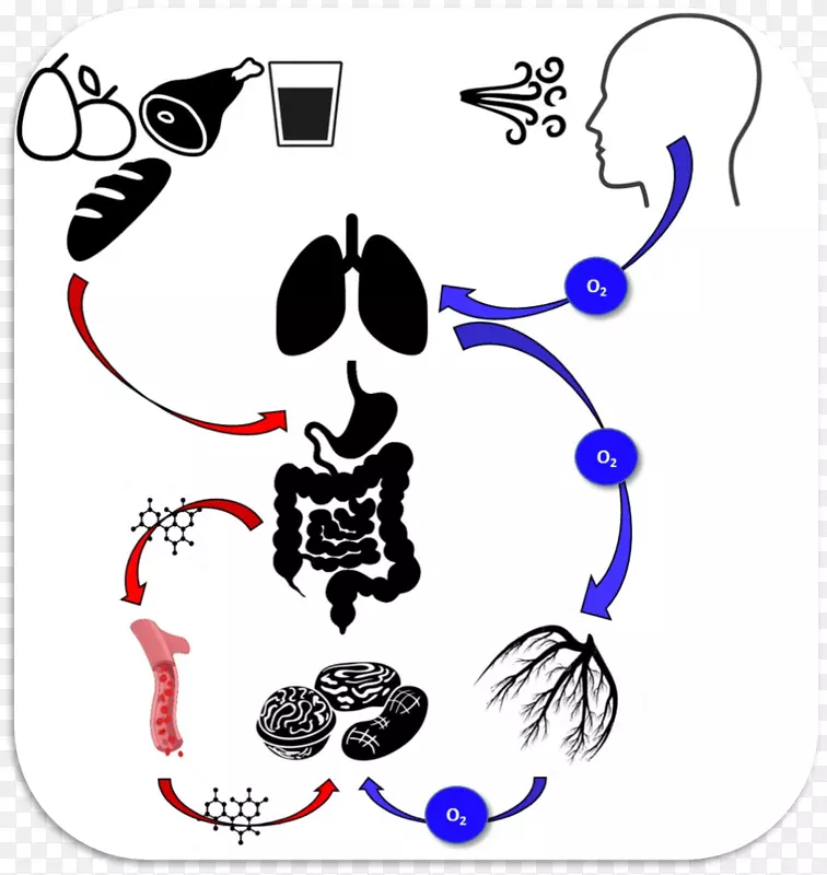 �滭�Ӿ������Ǽ�����.����-������