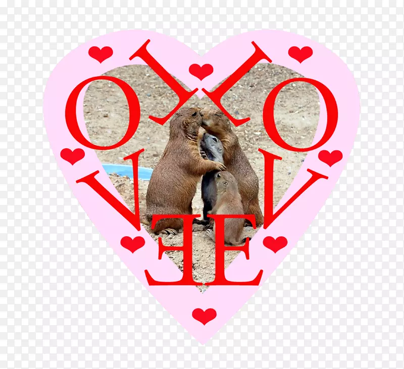 ������-������