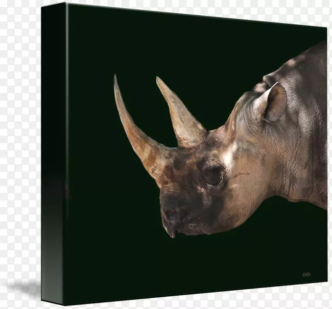 Ұ�������������Ӱ滭�����ܸ������-�εκ�����-������