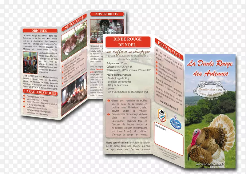 Ardennes Adel������������Ϣ�ֲ�-����-������