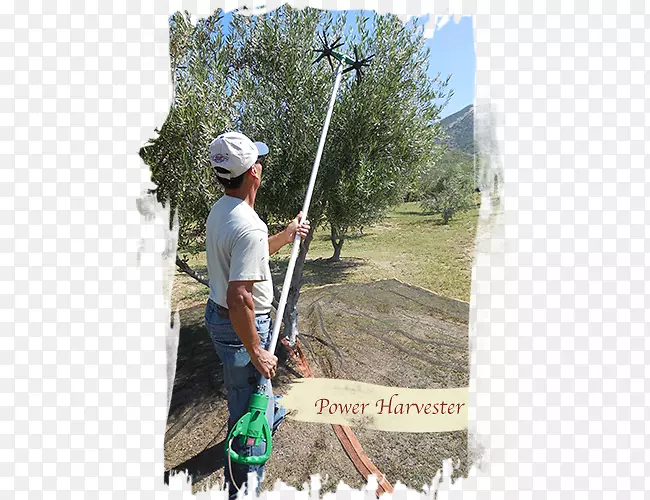 ������ð�յ�Ӱ-��-������