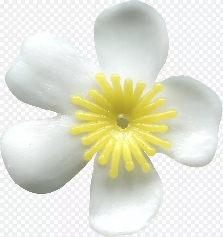 ����ֲ��-ֲ��-������