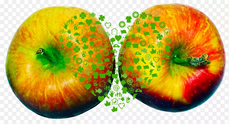 �������＼����˾��ҳ�����Ѷ�ƹ�-����-������