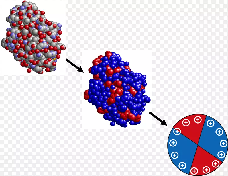 �ߵ�����-������