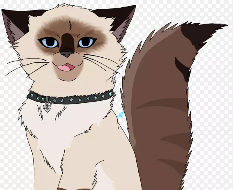 ����è�����ö�ëè����-Сè-������