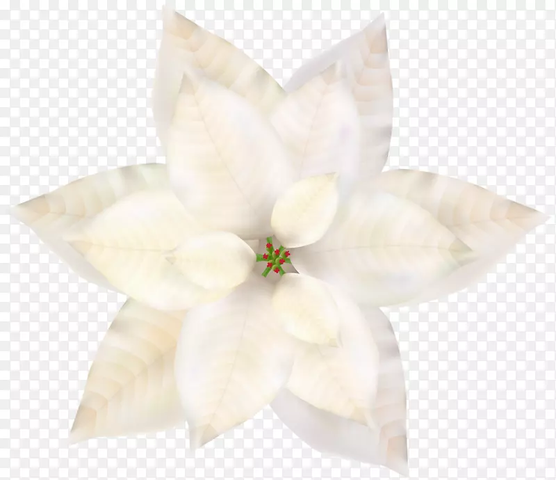 �л����꿪��ֲ��-ʥ��������-������