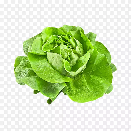 ��ͷݫ���߲˱�ɽ����ɫ��-�߲�-������