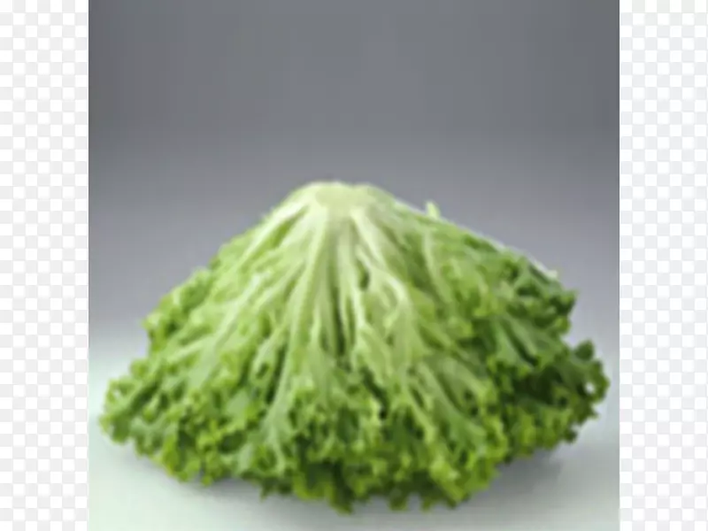 �������۲���ˮ��-������