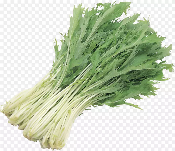 �ջ������߲�ɫ��-������